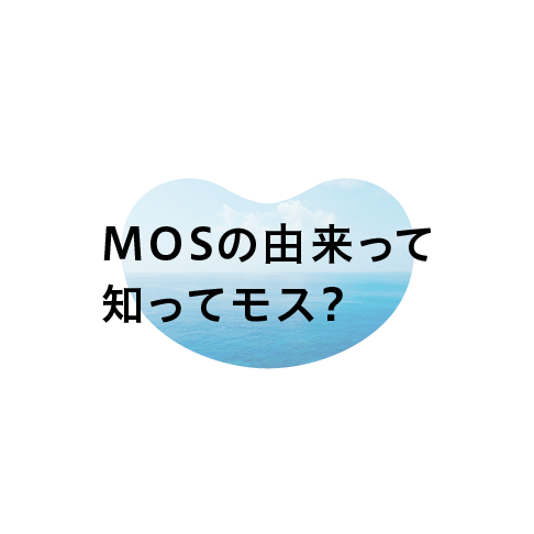 MOSの由来って 知ってモス？