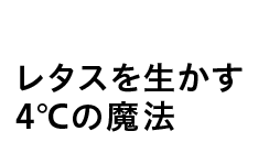 レタスを生かす4度の魔法