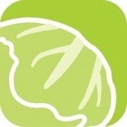 キャベツのアイコン