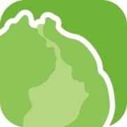 レタスのアイコン