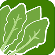 サラダほうれん草のアイコン