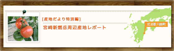 【産地だより特別編】宮崎新燃岳周辺産地レポート