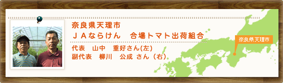 奈良県天理市ＪＡならけん 合場トマト出荷組合 代表 山中 重好さん(左) 副代表 柳川　公成さん(右)