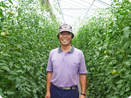 こだわりの桃太郎トマト食べて見てください!