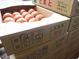 トマトの箱には必ず生産者名が