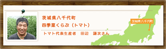 茨城県八千代町　四季菜くらぶ（トマト）　トマト代表生産者　田辺　謙次さん