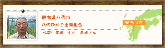 熊本県八代市　八代ひかり出荷組合　代表生産者　中村　勇雄さん