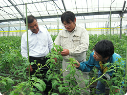 JAの堤さんも加わって、生育状況の確認