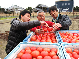 鵜澤さん（右）と共にトマトを確認