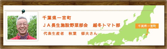 千葉県一宮町　ＪＡ長生施設野菜部会　越冬トマト部　代表生産者　秋葉　郁夫さん