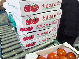 大地の恵みと書かれたトマトの箱