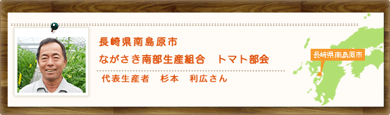 長崎県南島原市　ながさき南部生産組合　トマト部会　代表生産者　杉本　利広さん