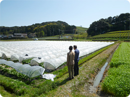 畑を前に語り合う深川さんと社長