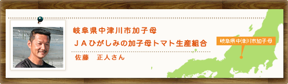 岐阜県中津川市加子母 ＪＡひがしみの加子母トマト生産組合　佐藤　正人さん