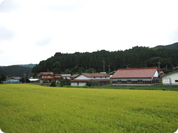 赤色が鮮やかな石州瓦の街並み