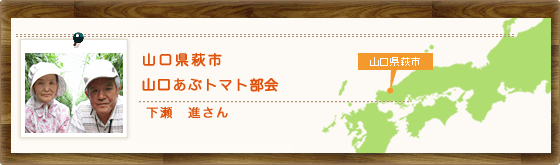 山口県萩市　山口あぶトマト部会　下瀬　進さん