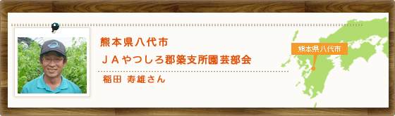 熊本県八代市　ＪＡやつしろ郡築支所園芸部会　稲田 寿雄さん