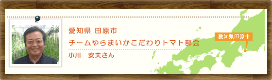 愛知県田原市　チームやらまいかこだわりトマト部会 小川　安夫さん