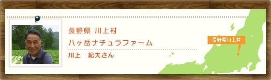 長野県川上村 八ヶ岳ナチュラファーム　川上　紀夫さん