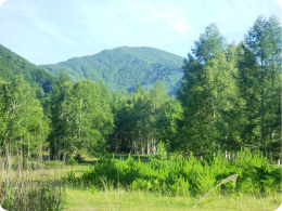 遠くに見える小川山の風景