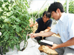 モススタッフによる農場確認