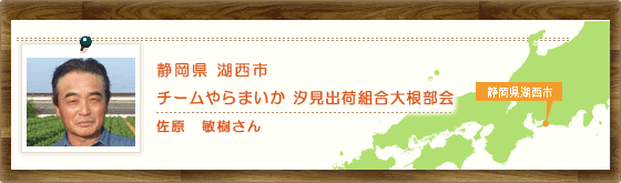 静岡県湖西市　チームやらまいか　汐見出荷組合大根部会 佐原　敏樹さん