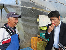 トマトの食味を確認