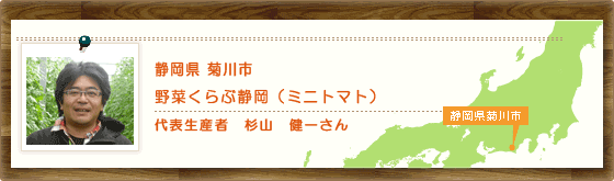 静岡県菊川市　野菜くらぶ静岡（ミニトマト）代表生産者 杉山　健一さん