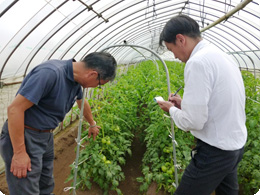 低段密植のメリットを説明する小倉さん