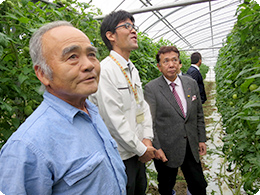 金城　俊夫さんのトマトハウスに到着