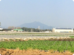 遠くに筑波山を望む