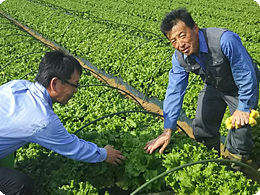 品種の特徴を説明する山田さん