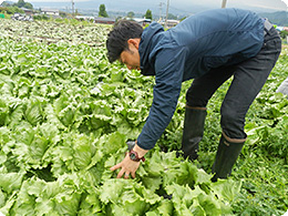 作業をする都丸さん