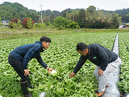 生育状況を確認する二人