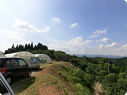 標高500Mの大自然に囲まれた佐藤さんのトマトハウス