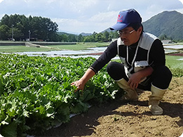 生育状況を確認する渡辺さん