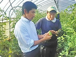 モスのスタッフとトマトの出来栄えを確認