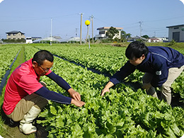 生育状況を確認する林田さんと松本さん