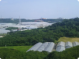 豊見城市饒波地区のハウス群