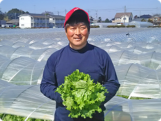 茨城県結城郡八千代町 四季菜くらぶ（レタス） 代表生産者　高木 勝弘さん