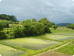 岩手町風景2