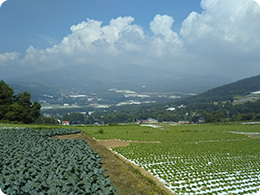菅平高原の風景