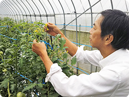 花の状態を確認する満島さん