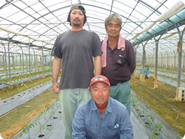 沖縄県トマト生産者の皆さんの写真