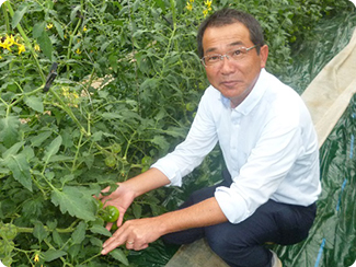 宮崎県日向市 興農宮崎（トマト）代表生産者　安藤 広信さん