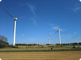 畑の中に立ち並ぶ風力発電のプロペラ群