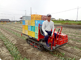 玉ねぎを集荷する運搬車