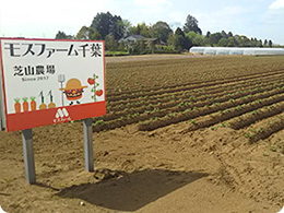 晴れた日のモスファーム千葉芝山農場