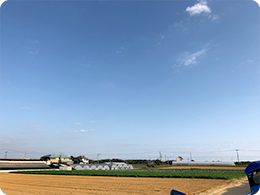 圃場と広大な空