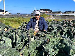 2.堅さんとキャベツ畑